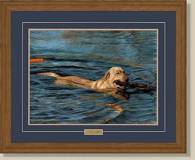 (image for) Color Blind-Yellow Lab by John Aldrich